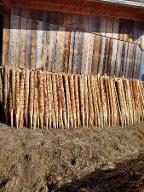 Lärchenstempel Tamsweg