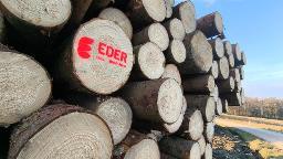 Eder Baum.Wald.Forst (Forestry consulting, Forest work, Tree care)  Pennewang