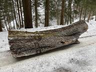 Rundholz Birne Ettendorf