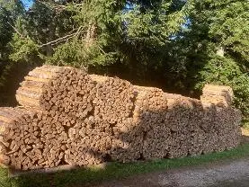 Brennholz Brennholz Esche, Ahorn, Buche fein gespalten