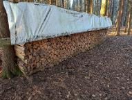 Brennholz Fichte, Kiefer