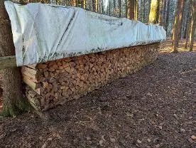 Brennholz Brennholz Fichte, Kiefer