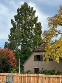 Stehendes Holz Stehendes Holz Sonstiges Holz