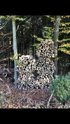 Brennholz Buche