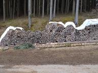 Brennholz Fichte, Lärche, Buche