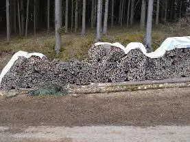 Brennholz Brennholz Fichte, Lärche, Buche