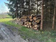 Rundholz Sonstiges Holz