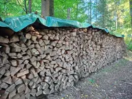 Brennholz Esche St. Johann im Saggautal