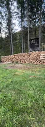 Brennholz Esche, Buche Hochneukirchen