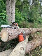Dienstleistung Katz (sonstige forstliche Dienstleistung, Holzernte & Rückung, Jungwaldpflege)
