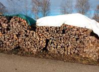 Brennholz Fichte, Buche