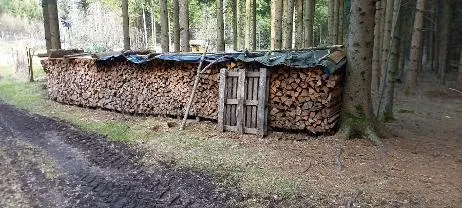 Brennholz Brennholz Fichte