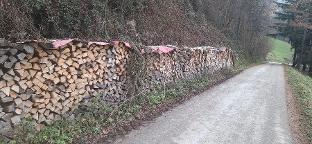 Brennholz Esche, Buche