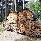 Brennholz Fichte