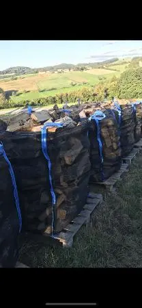 Brennholz Brennholz Buche