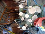 Rundholz Sonstiges Holz