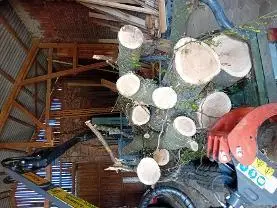 Rundholz Rundholz Sonstiges Holz
