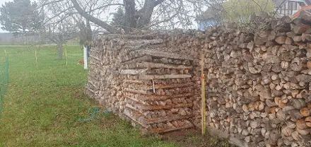 Brennholz Brennholz Fichte, Weißkiefer