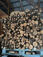 Brennholz Fichte, Buche, Nuss St. Kanzian am Klopeiner See