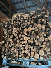 Brennholz Brennholz Fichte, Buche, Nuss