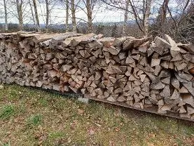 Brennholz Brennholz Esche