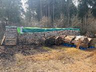 Brennholz Esche Wernstein am inn