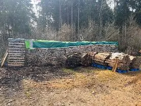 Brennholz Brennholz Esche