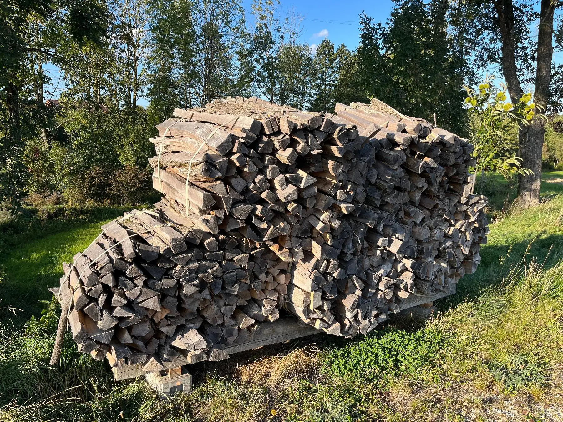 Brennholz Erle: 57 Angebote - holzquelle