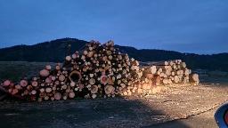 Rundholz Fichte Lärche Kammern im Liesingtal