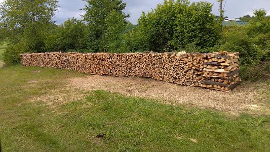 Brennholz Buche