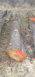 Rundholz Kirsche Palterndorf