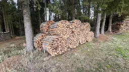 Brennholz Buche St. Georgen am Walde