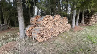 Brennholz Brennholz Buche