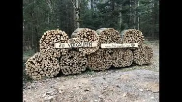 Brennholz Brennholz Buche