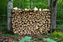Brennholz Buche Brennholz: Regional, trocken + Lieferung möglich St. Andrä-Wördern