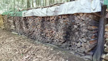 Brennholz Brennholz Birke, Esche, Buche Hart und weich gemischt