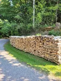 Brennholz Brennholz Esche