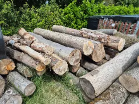 Rundholz Rundholz Buche Esche Eiche
