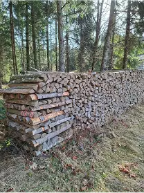 Brennholz Brennholz Buche