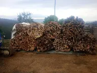 Brennholz Esche Semriach