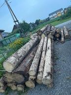 Rundholz Fichte Käferholz