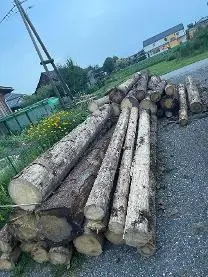 Rundholz Rundholz Fichte Käferholz