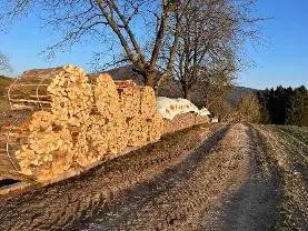 Brennholz Brennholz Buche