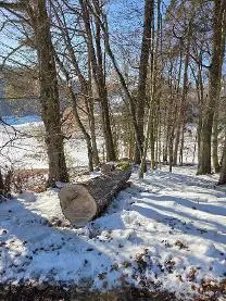 Rundholz Rundholz Eiche