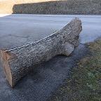 Rundholz Nuss Unterlangkampfen