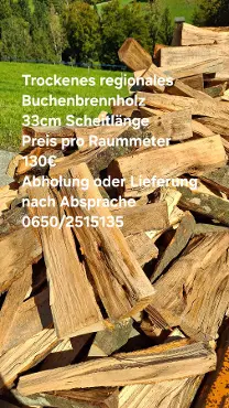 Brennholz Brennholz Buche