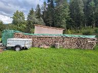 Brennholz Buche