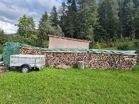 Brennholz Brennholz Buche