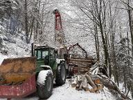 Holzschlägerung/Bringung Osanger (Holzernte & Rückung, Jungwaldpflege) Gresten