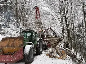 Dienstleistung Holzschlägerung/Bringung Osanger